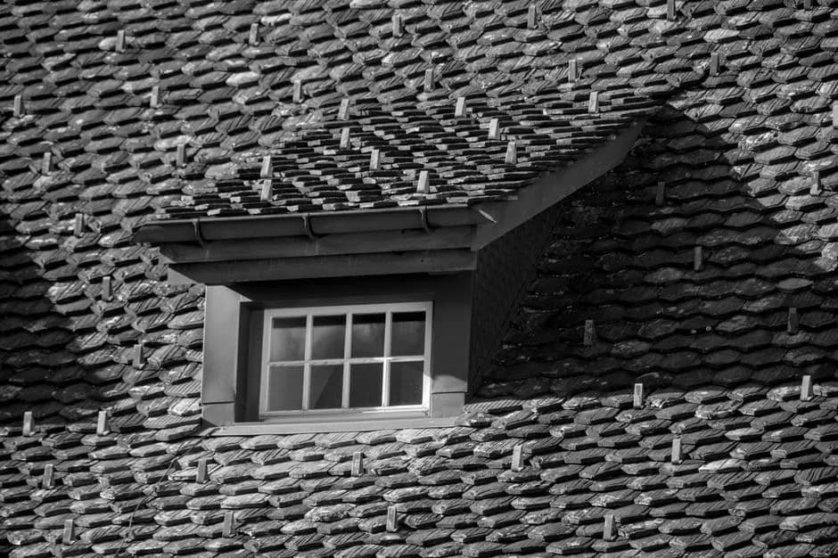 Black and white photo of a tiled roof featuring a dormer window, showcasing architectural details.