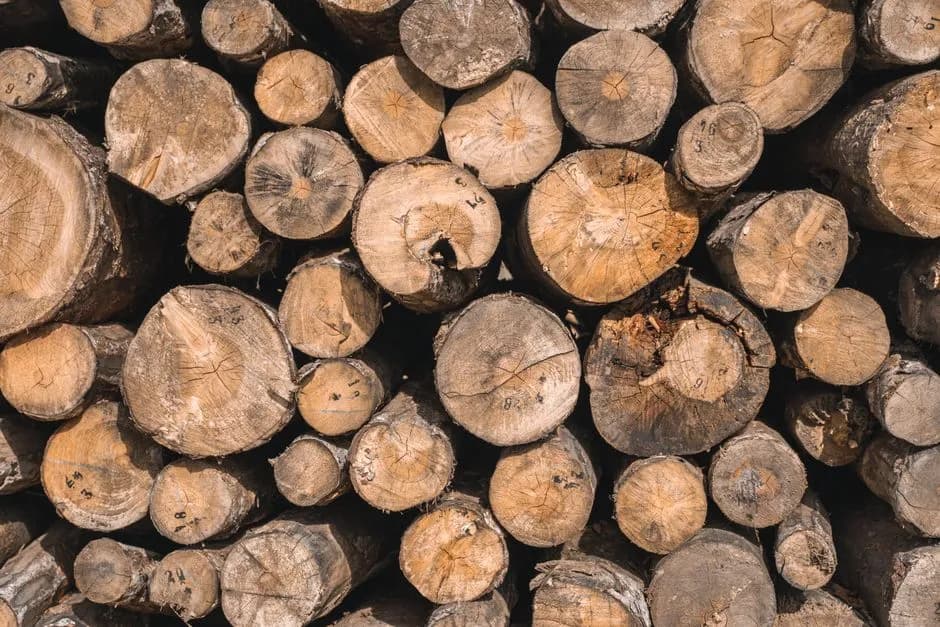 High-quality stacked timber logs ideal for woodworking and construction needs.