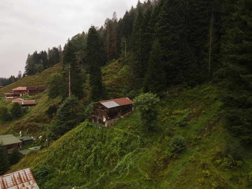 A charming rural village nestled in a dense forest on a mountainside, exuding tranquility.