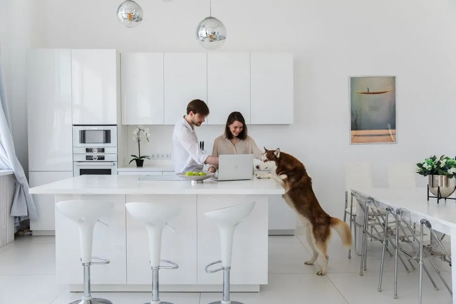 A couple with a dog enjoys time together in a modern white kitchen.