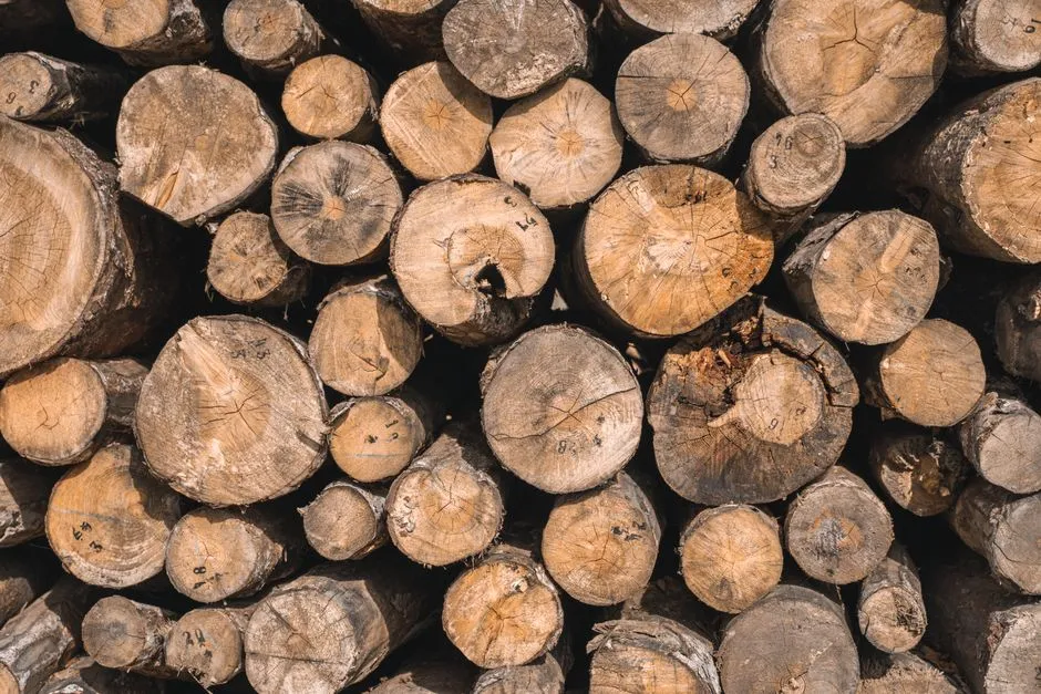High-quality stacked timber logs ideal for woodworking and construction needs.