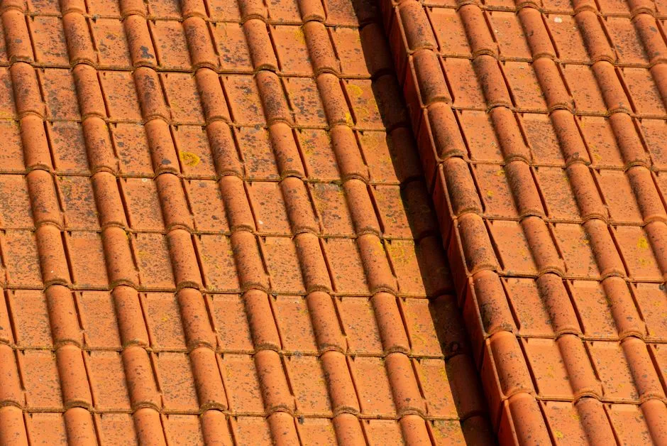 Close-up of terracotta roof tiles showcasing weathered texture and earthy tones.