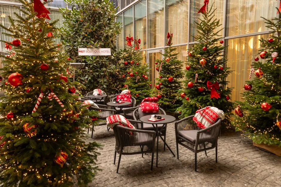Test je winterterras met vuurkorf in 3D (2026)